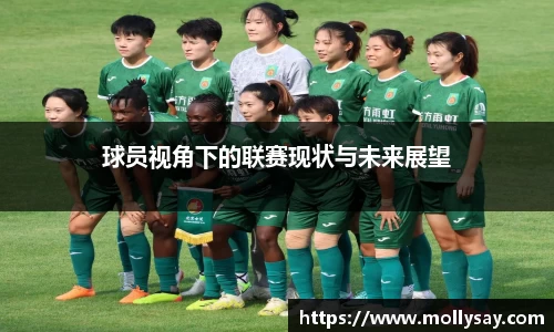 球员视角下的联赛现状与未来展望